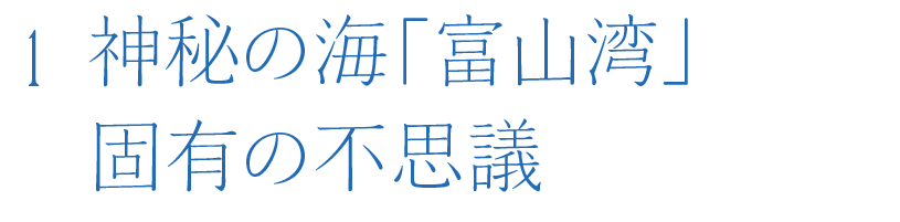 神秘の海「富山湾」固有の不思議